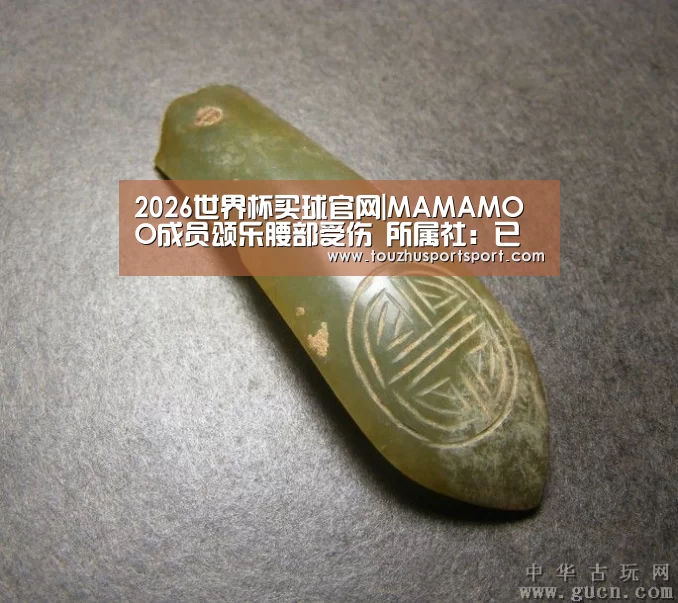 2026世界杯买球官网|MAMAMOO成员颂乐腰部受伤 所属社:已经接受治疗(图1) 2026世界杯买球官网app最新版