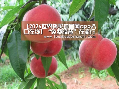 2026世界杯买球官网