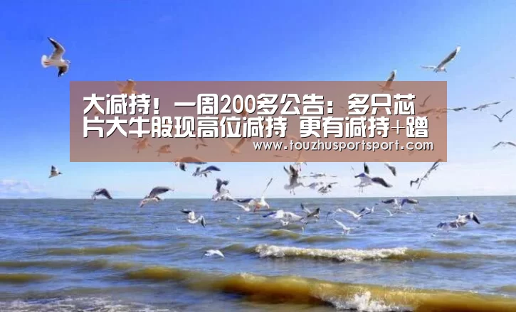 2026世界杯买球官网
