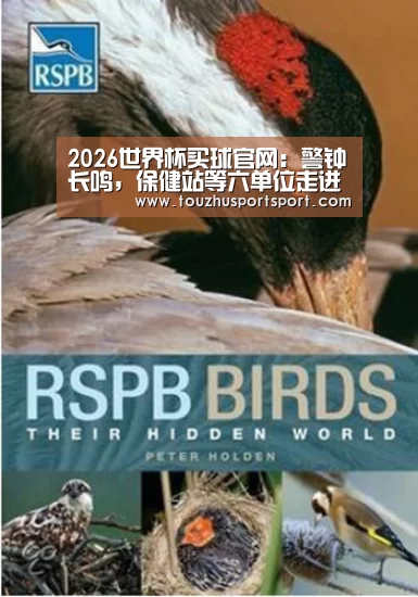 2026世界杯买球官网