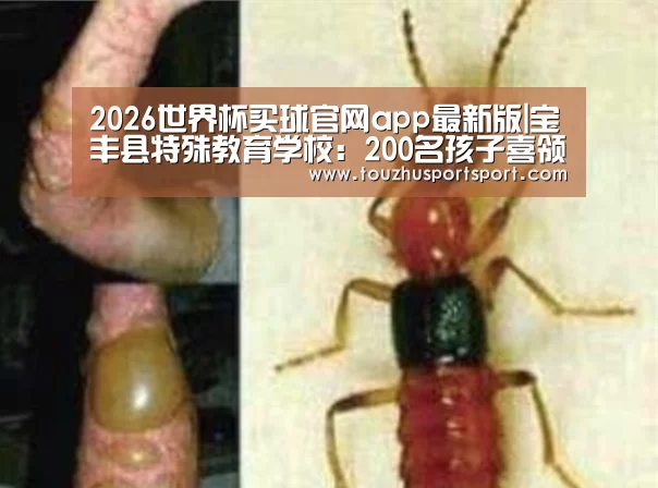 2026世界杯买球官网app最新版|宝丰县特殊教育学校:200名孩子喜领“爱心卡”(图3) 2026世界杯买球官网