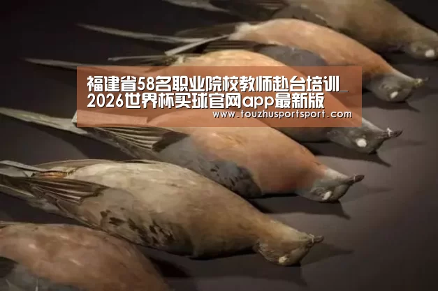 福建省58名职业院校教师赴台培训_2026世界杯买球官网app最新版(图3) 2026世界杯买球官网app入口在线