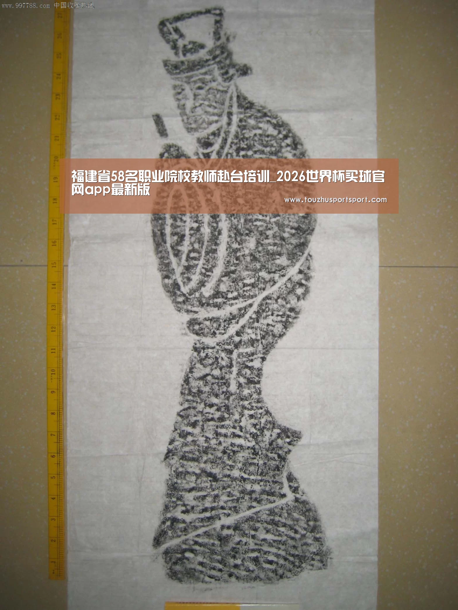 福建省58名职业院校教师赴台培训_2026世界杯买球官网app最新版(图4) 2026世界杯买球官网app最新版
