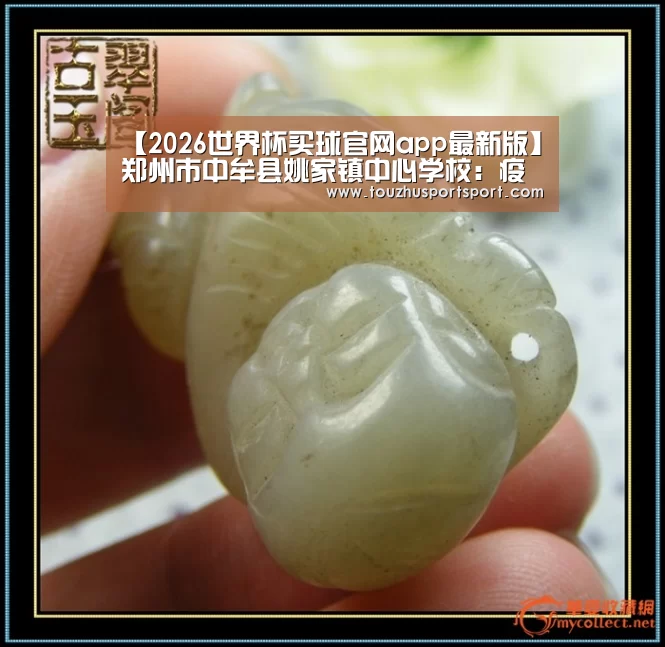 【2026世界杯买球官网app最新版】郑州市中牟县姚家镇中心学校:疫情无情人有情关心爱心暖人心(图2) 2026世界杯买球官网app最新版
